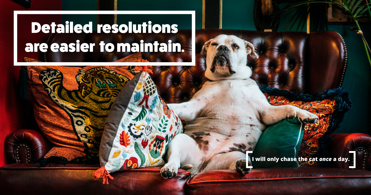 Detailed resolutions are easier to maintain. A dog says, I will only chase the cat once a day.