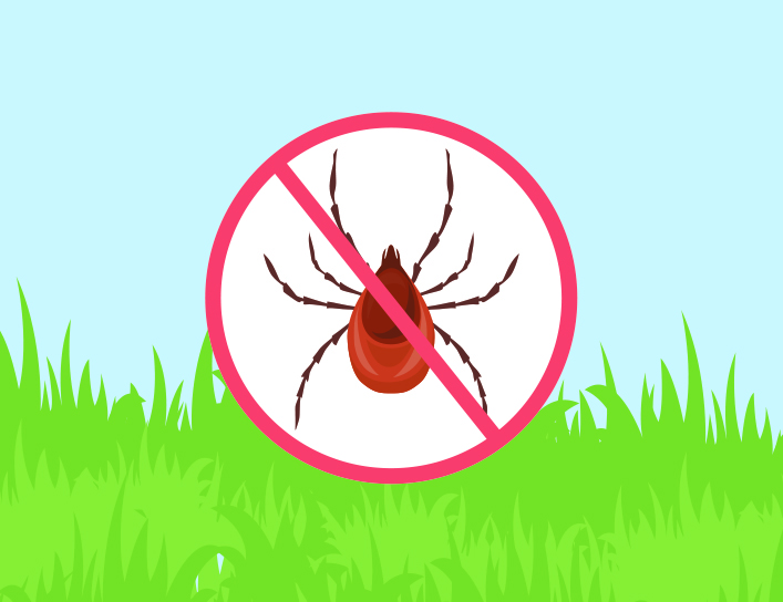 How to remove a tick
