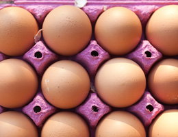 Eggs recalled due to salmonella risk