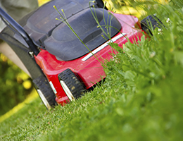 A red and black push mower moves through tall green grass. 