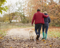 Even short walks can lower blood sugar after eating