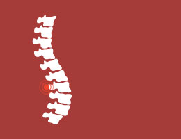   A spine