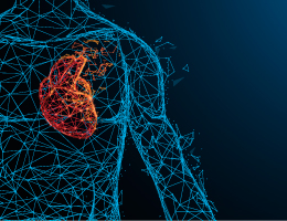 A detailed, geometric illustration of the human torso and arm done in blue lines. Within the chest, the heart is illustrated in red and orange. 