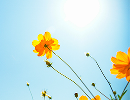 Build a more positive body image