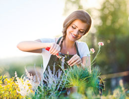 A woman wearing a green apron trims a plant with gardening shears. 