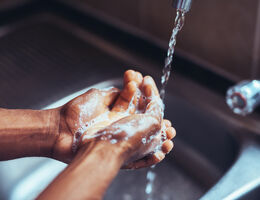  A closeup of hands washing in a sink.