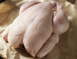 Salmonella outbreak tied to turkey